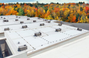 Flat Roof in the fall